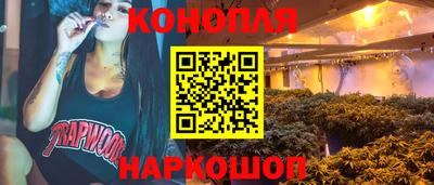 прущие грибы Будённовск