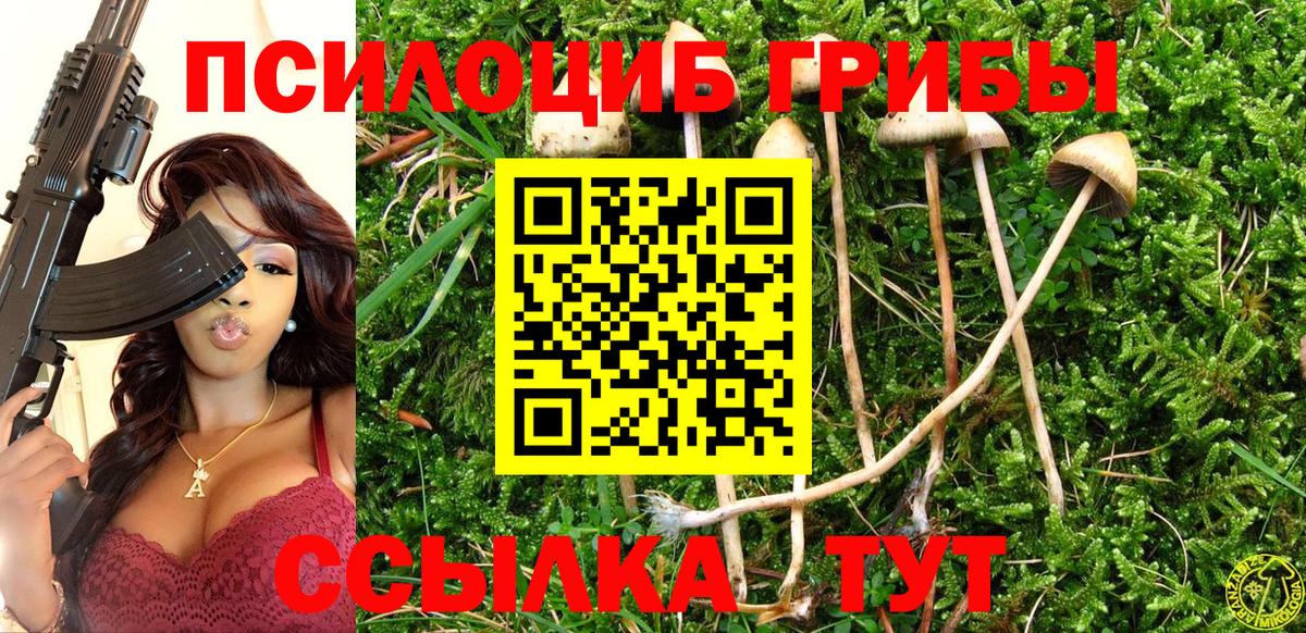 Псилоцибиновые грибы мухоморы Старый Оскол