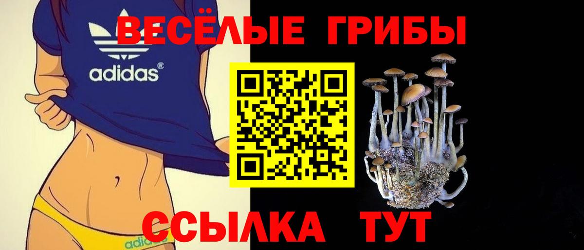 Галлюциногенные грибы мицелий  Вход с VPN  Старый Оскол 